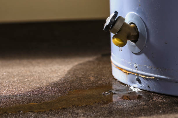 Best Water damage restoration near me  in Shiner, TX
