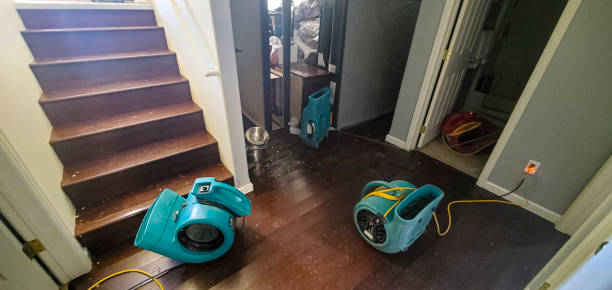 Best Commercial water damage restoration  in Shiner, TX