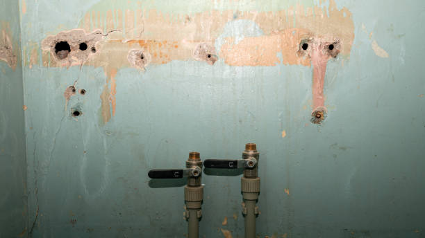 Best Basement water damage restoration  in Shiner, TX